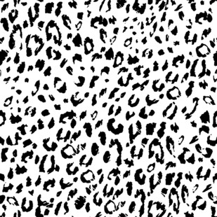 黑白豹纹图案纹理