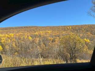 车窗外的秋日原野风光
