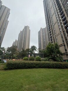 城市中高楼旁的绿地景观