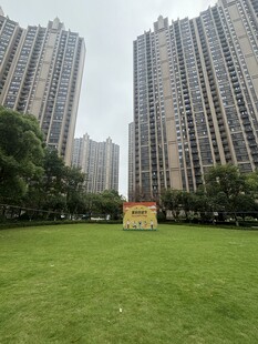 城市草坪旁的高楼景观