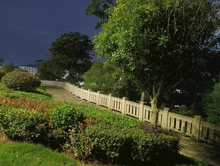 夜晚花园小径景观