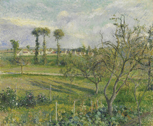 田园风景中的树木与田野