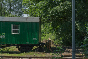 林间绿色小拖车