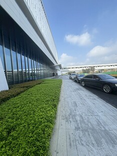 现代建筑旁的绿植与道路