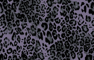 黑色豹纹图案纹理