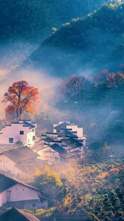 山间晨雾中的静谧村落