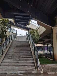 户外木质楼梯与绿植景观