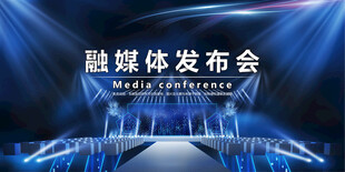 会议背景