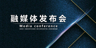 会议背景