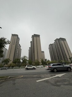 城市道路旁的高楼景观