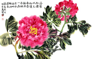 国画牡丹花卉图