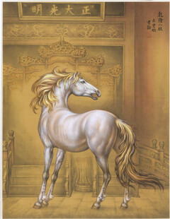 优雅白马于华丽背景前