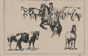 复古风格骏马动态插画