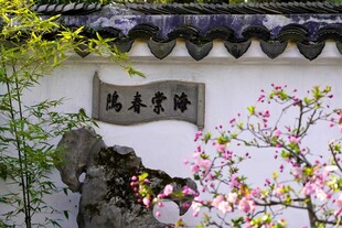 苏州拙政园海棠春坞