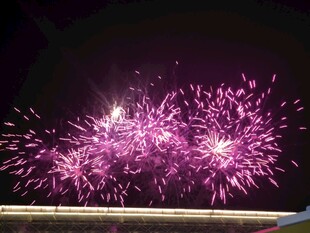 绚丽紫色烟花绽放夜空