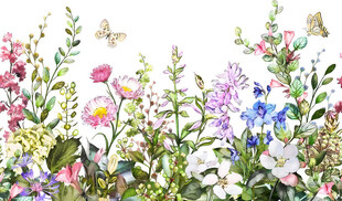 缤纷花卉绘就自然美景