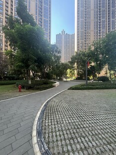 城市中宁静的步道景观