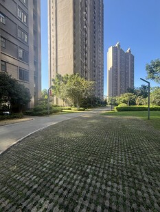 城市中开阔的绿地与高楼