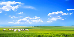 蓝天白云草地羊群