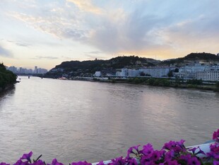 河畔紫花伴日暮美景