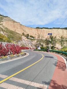 山间蜿蜒公路旁繁花绽放