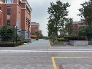 校园宽阔道路与建筑景观