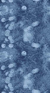 蓝色斑点纹理背景图