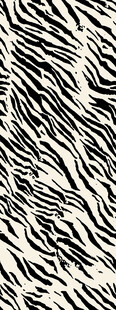 黑白斑马纹图案纹理