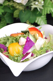 美味多彩蔬菜沙拉