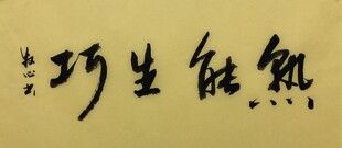 熟能生巧 杨克东书法作品