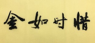 惜时如金 杨克东书法作品