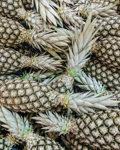 一堆新鲜的菠萝