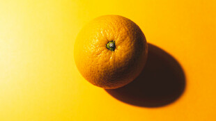 黄色背景上的鲜橙