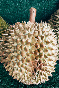 新鲜带刺的榴莲特写