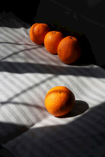 阳光下的新鲜橙子