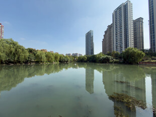 河畔高楼映绿水