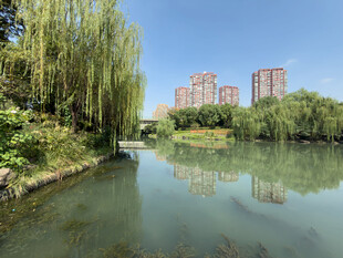 杭州紫金明珠公园