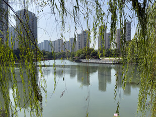 杭州紫金明珠公园