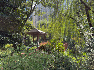 杭州紫金明珠公园