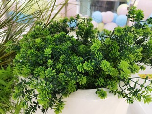 翠绿仿真盆栽植物清新景致