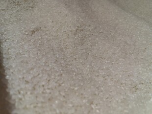 白色颗粒珍珠米特写