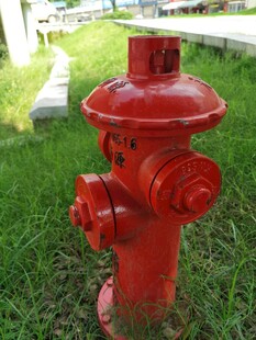 草地上的红色消防栓