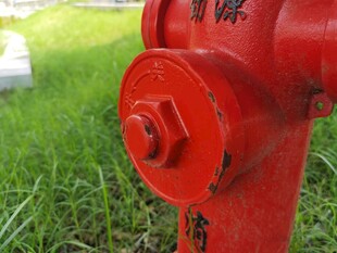 草地上的红色消防栓