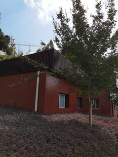 红砖建筑旁的葱郁树木