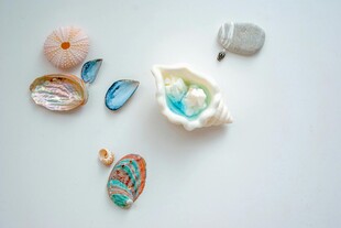 多彩贝壳饰品与小物件