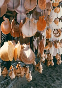 精美贝壳风铃悬挂展示