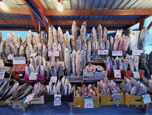 海鲜市场丰富的鱼类陈列