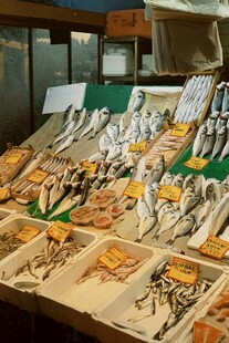 海鲜市场丰富多样的鲜鱼