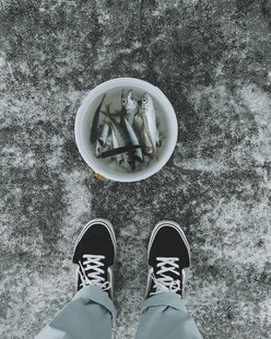 脚下的盆栽与休闲鞋