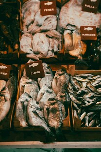 新鲜多样的海鲜陈列